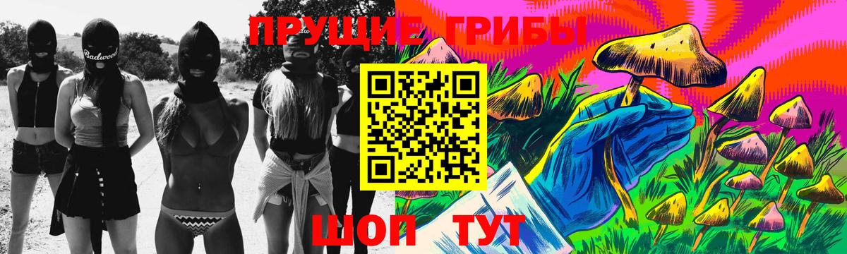 Псилоцибиновые грибы GOLDEN TEACHER Котельники